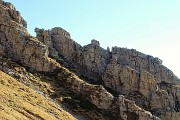 26 Un camoscio di vedetta sui contrafforti rocciosi del Monte Arale